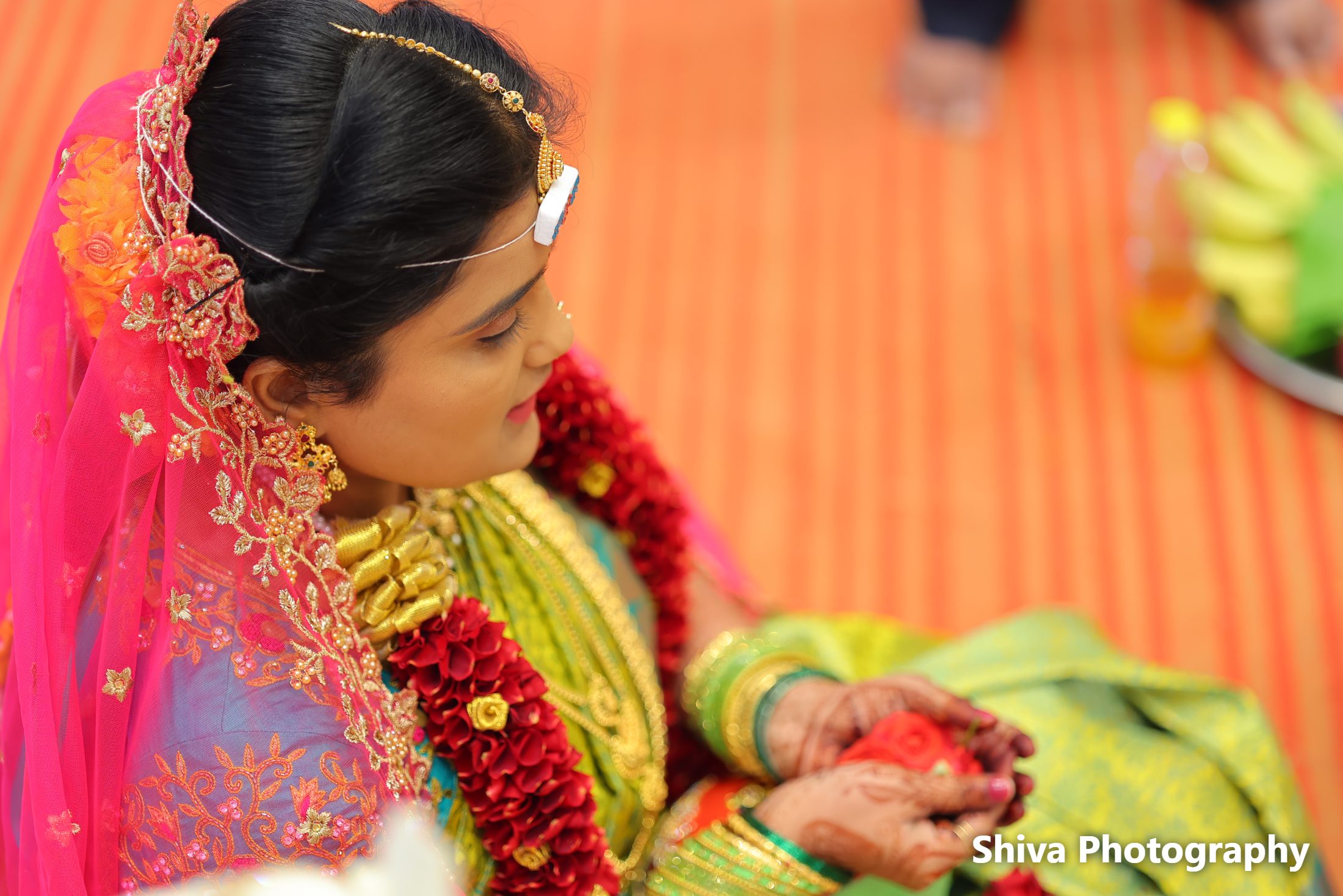 Wedding / Marriage