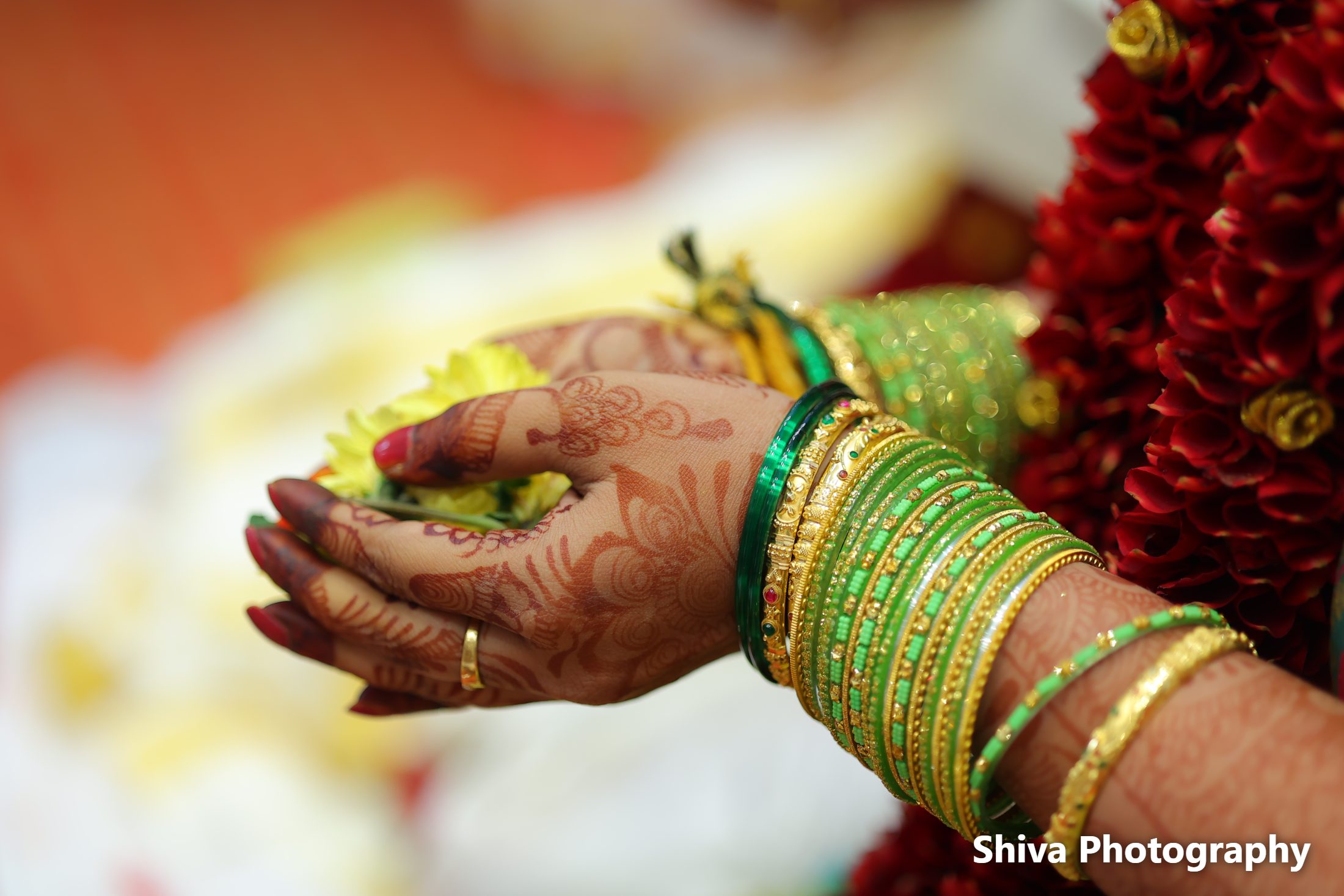 Wedding / Marriage