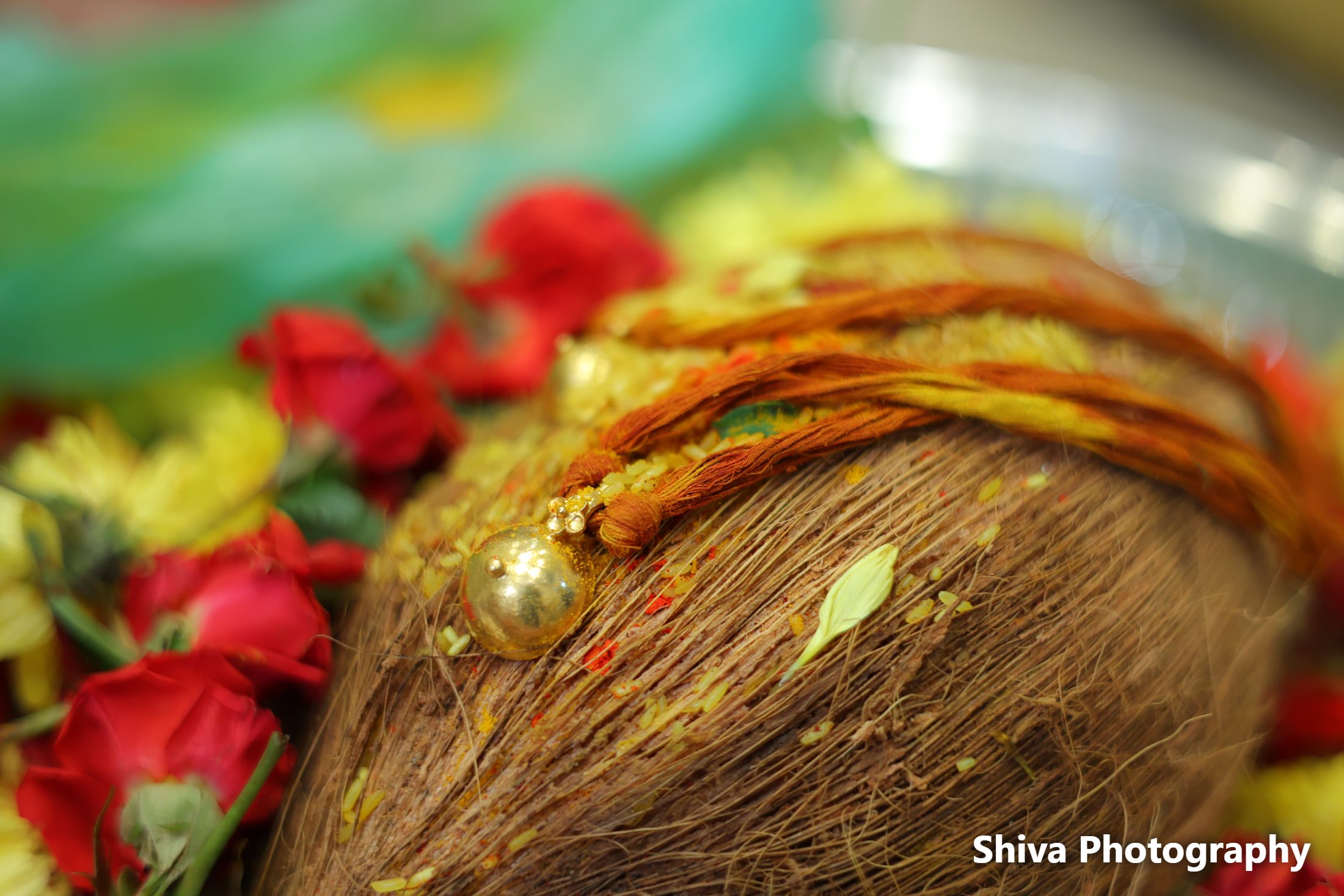 Wedding / Marriage